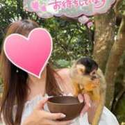 ヒメ日記 2026/02/20 00:31 投稿 柴崎ななこ MADAM