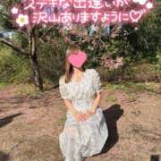 ヒメ日記 2026/03/11 22:16 投稿 柴崎ななこ MADAM