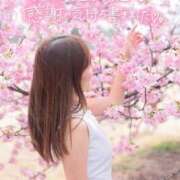 ヒメ日記 2026/03/12 23:01 投稿 柴崎ななこ MADAM