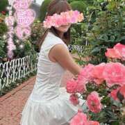 ヒメ日記 2026/05/09 15:46 投稿 柴崎ななこ MADAM