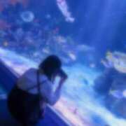 ヒメ日記 2026/04/24 09:01 投稿 りほ CUTE