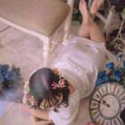 ヒメ日記 2026/03/12 16:01 投稿 白崎ゆき 華椿