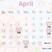 ヒメ日記 2026/03/28 17:16 投稿 白崎ゆき 華椿