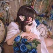 ヒメ日記 2026/04/11 08:16 投稿 白崎ゆき 華椿