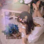 ヒメ日記 2026/06/09 10:16 投稿 白崎ゆき 華椿