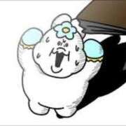 ヒメ日記 2025/12/28 08:16 投稿 星蘭ひとみ 華椿