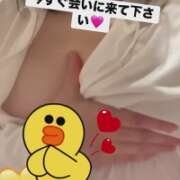 ヒメ日記 2026/07/02 09:31 投稿 柏木なつえ MADAM