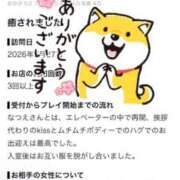 ヒメ日記 2026/09/18 09:46 投稿 柏木なつえ MADAM