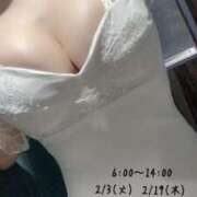 ヒメ日記 2026/02/03 06:31 投稿 芹沢りん 華椿