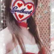 ヒメ日記 2025/12/24 05:01 投稿 野島かのこ MADAM