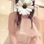 ヒメ日記 2025/12/31 16:01 投稿 野島かのこ MADAM