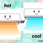 ヒメ日記 2026/01/24 17:01 投稿 野島かのこ MADAM