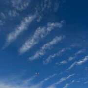 ヒメ日記 2026/01/31 15:01 投稿 野島かのこ MADAM