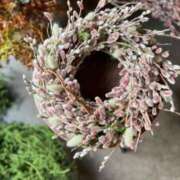 ヒメ日記 2026/02/01 10:01 投稿 野島かのこ MADAM