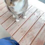 ヒメ日記 2026/02/22 08:31 投稿 野島かのこ MADAM