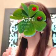 ヒメ日記 2026/04/03 19:01 投稿 野島かのこ MADAM