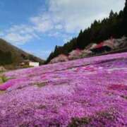 ヒメ日記 2026/04/30 12:01 投稿 野島かのこ MADAM