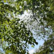 ヒメ日記 2026/05/01 06:01 投稿 野島かのこ MADAM
