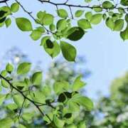 ヒメ日記 2026/05/31 12:01 投稿 野島かのこ MADAM