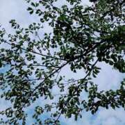ヒメ日記 2026/06/23 11:01 投稿 野島かのこ MADAM
