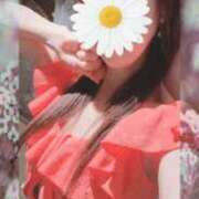 ヒメ日記 2026/08/15 05:01 投稿 野島かのこ MADAM