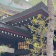 ヒメ日記 2026/09/01 11:01 投稿 野島かのこ MADAM
