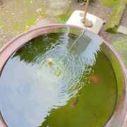 ヒメ日記 2026/09/17 11:31 投稿 野島かのこ MADAM