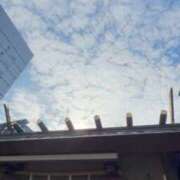 ヒメ日記 2026/10/05 12:16 投稿 野島かのこ MADAM
