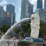 宇野ちはる 次は！ 華椿