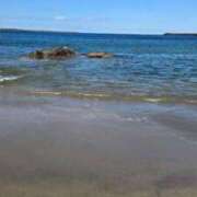 ヒメ日記 2026/03/11 00:01 投稿 宇野ちはる 華椿