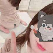 ヒメ日記 2026/03/24 23:46 投稿 宇野ちはる 華椿