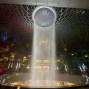 ヒメ日記 2026/04/03 13:01 投稿 宇野ちはる 華椿