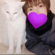 ヒメ日記 2026/01/01 00:01 投稿 上野なるみ MADAM