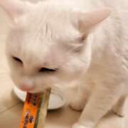 ヒメ日記 2026/01/06 03:46 投稿 上野なるみ MADAM