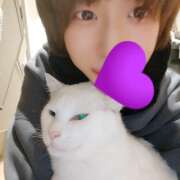 ヒメ日記 2026/02/19 07:16 投稿 上野なるみ MADAM