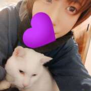 ヒメ日記 2026/02/22 07:01 投稿 上野なるみ MADAM