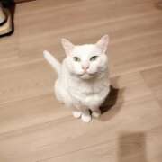 ヒメ日記 2026/03/01 16:31 投稿 上野なるみ MADAM