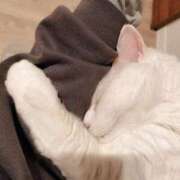 ヒメ日記 2026/03/07 07:16 投稿 上野なるみ MADAM