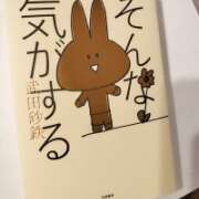 ヒメ日記 2026/04/09 15:16 投稿 上野なるみ MADAM