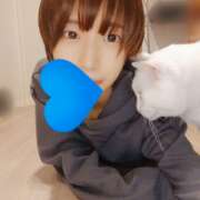 ヒメ日記 2026/04/12 07:16 投稿 上野なるみ MADAM