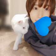 ヒメ日記 2026/04/15 06:31 投稿 上野なるみ MADAM