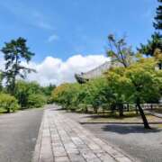 ヒメ日記 2026/07/02 15:01 投稿 上野なるみ MADAM