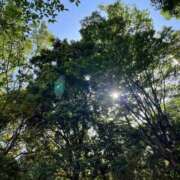 ヒメ日記 2025/12/17 16:01 投稿 浅田ゆみな MADAM