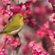 ヒメ日記 2025/12/19 00:31 投稿 浅田ゆみな MADAM