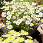 ヒメ日記 2025/12/21 16:16 投稿 浅田ゆみな MADAM