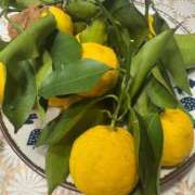 ヒメ日記 2025/12/22 22:16 投稿 浅田ゆみな MADAM