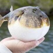 ヒメ日記 2025/12/26 21:01 投稿 浅田ゆみな MADAM