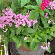 ヒメ日記 2025/12/30 15:16 投稿 浅田ゆみな MADAM