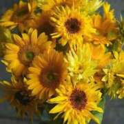 ヒメ日記 2025/12/30 22:46 投稿 浅田ゆみな MADAM