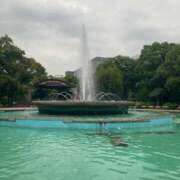 ヒメ日記 2026/01/01 12:46 投稿 浅田ゆみな MADAM